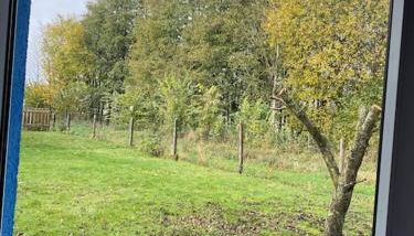 Zimmer mit eigenem Bad in Einfamilienhaus - Foto 3, Garden view