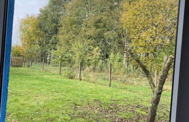 Zimmer mit eigenem Bad in Einfamilienhaus - Foto 3