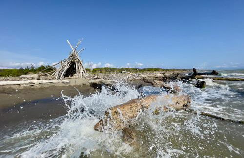 Il canto della pineta - Foto 32