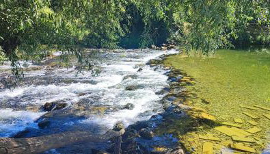 Pri Fiškušu - Photo 4