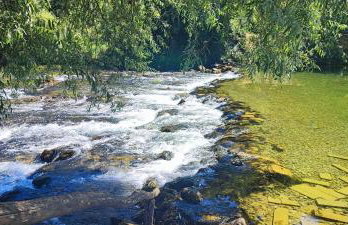 Pri Fiškušu - Foto 4