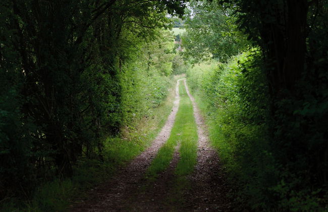 Tring Grange Cottage - Sleeps 2 - Onsite Parking - Foto 14