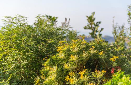 Muses Panoramic View, Minutes from Knossos Minoan Palace - Foto 26