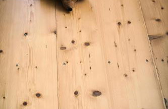 Ferienwohnung Oberförsterei Sosa I - Foto 22