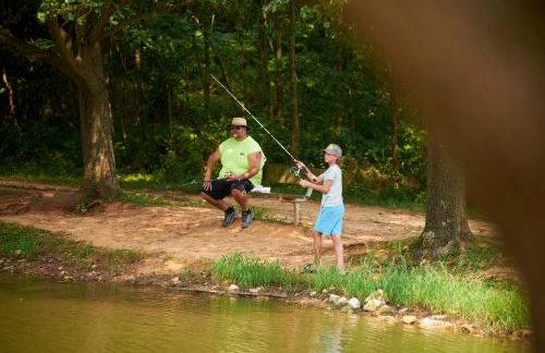 Jellystone Mammoth Cave - Foto 6