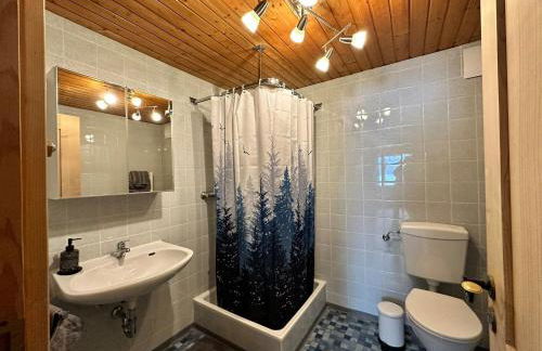 Appartement Hochwildfeuerberg - Foto 10