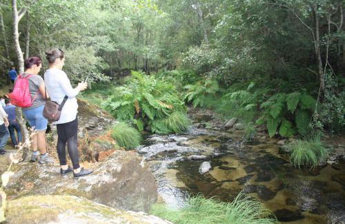 Retiro Da Arminda - Foto 80