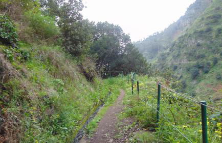 Levada Nova House - Foto 73