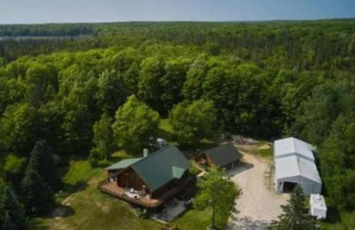 Chapel Forest Cabin - Foto 43