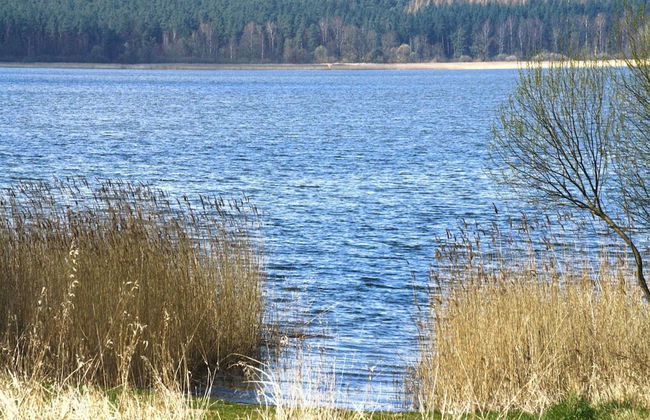 Ferienhaus Bel Ami, Nakenstorf - Foto 17