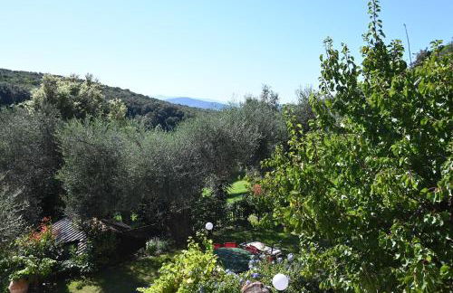 Villa Capalbio - Foto 25