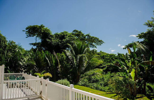 Seas the Day Sanctuary Little Bay - Photo 33