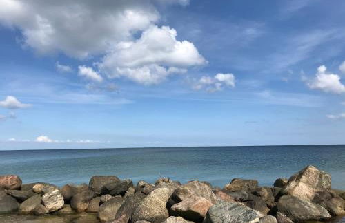 Strandläufer - Foto 34