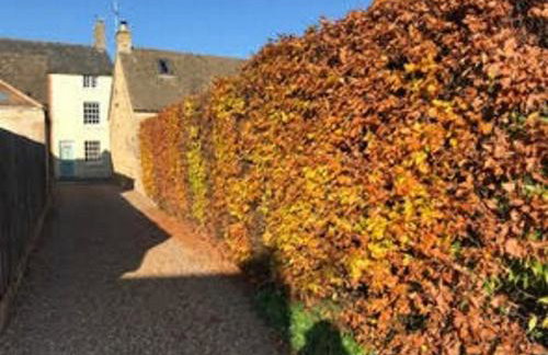 The Annexe - Photo 32