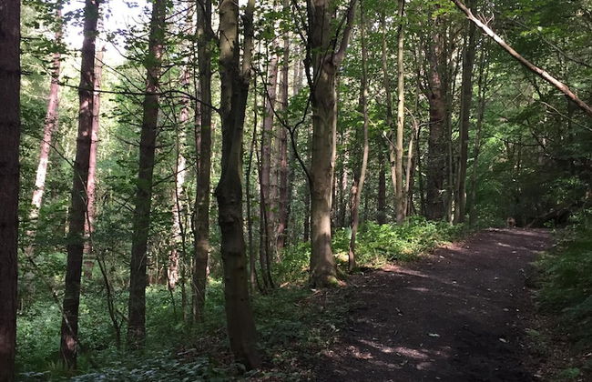 1 Twizell Lane - Foto 44