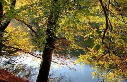 Holiday apartment with 1 bedroom - Foto 33