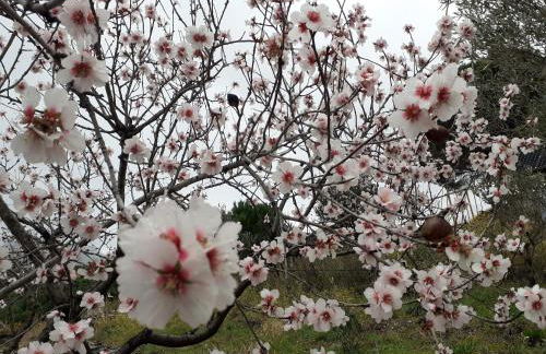 Casa azul & blanca - Foto 26