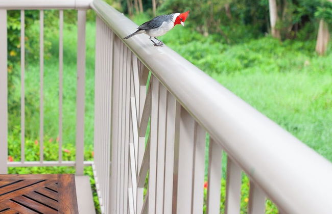 Villas of Kamalii 37 - Foto 23