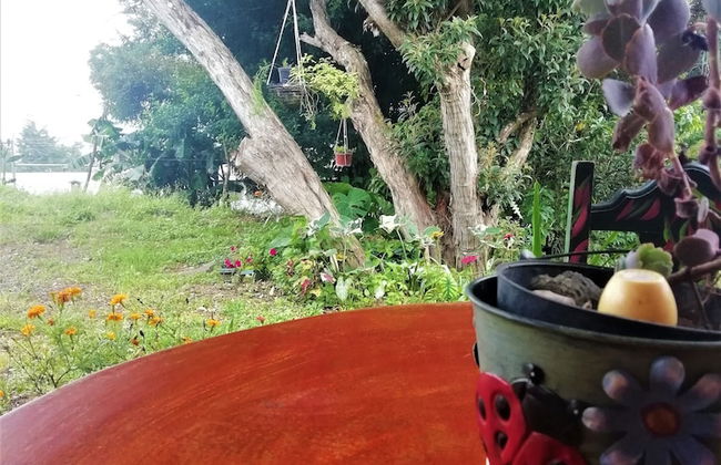 Villa Morella - Foto 21