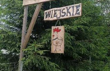 Wyciszek - mazurska agroturystyka - Foto 22