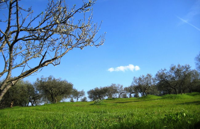 Villa Colle di Rocco - Foto 28