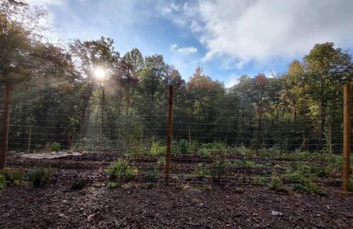 Healing Acres - Foto 43