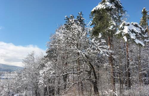 Domek Dzikie Lisko - Foto 39