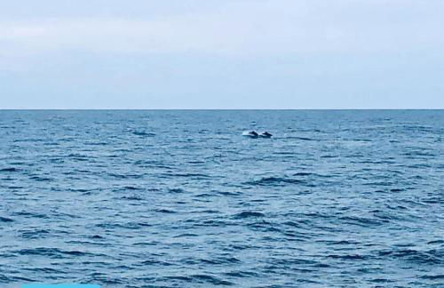 Duplex vue mer EXCEPTIONNELLE en Corse du sud proche plage - le 180Corse - Foto 33