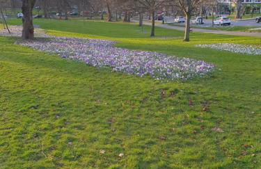 Nidd Way Holiday Let - Foto 59