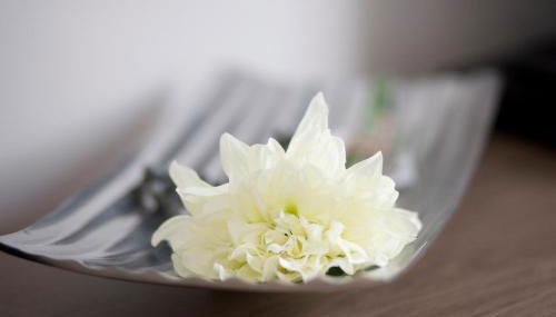 Haus am Apfelhain - Foto 5