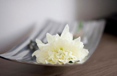 Haus am Apfelhain - Foto 5