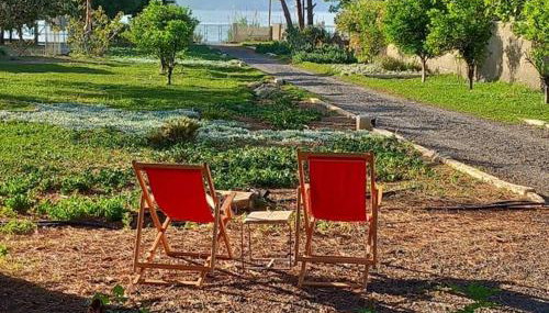 Coralia's beachfront sea view studio - Foto 4, Garden