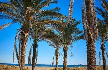 Playa del Pinar home - Photo 15