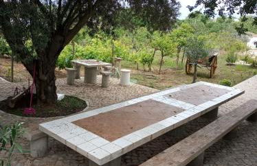 Monte Papa Figos - Foto 37