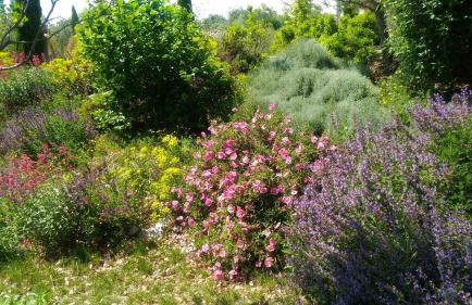 Gîte Le Mas de Molines - Foto 29
