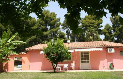 Terry Land Village - Foto 11