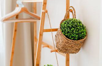 Forte 27 centro - Foto 22