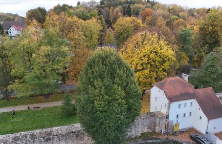 Dom w murach - Foto 45