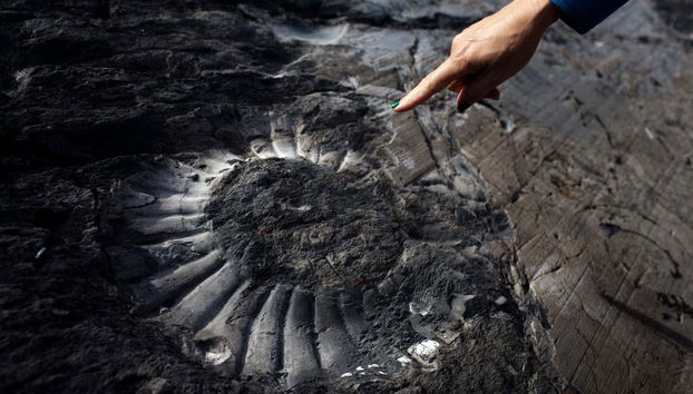 Cañadón de los Fósiles