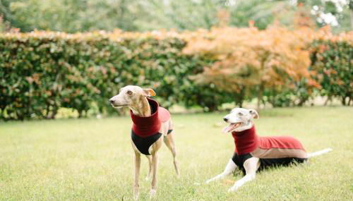 Casa da Assudra - Foto 3