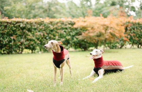 Casa da Assudra - Foto 3