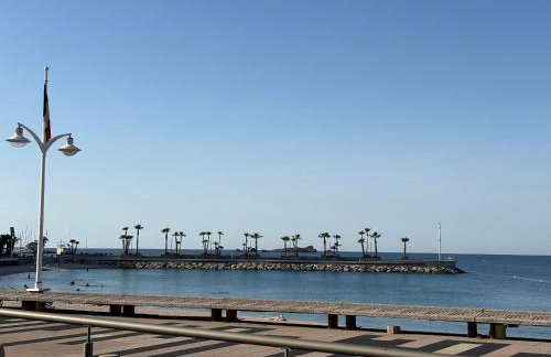 Le Charmant Appartement 3 pièces à 600 m de la plage - Foto 30