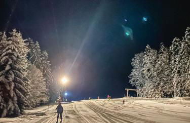 Ferienwohnungen Am Skilift - Foto 72