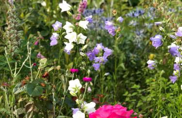 Amsel Appartements - Geruhsam, Sonnig & Zentral - 3-Zimmer-Apartment - Foto 11