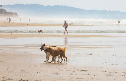Live the Beach Life in a Quaint Shell Cottage - Foto 36