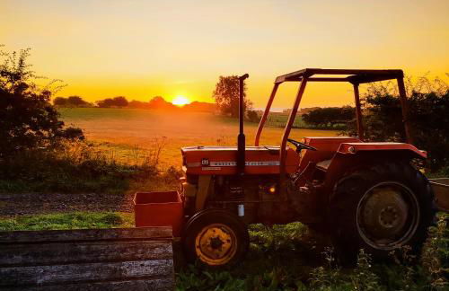 Bastle Retreats Farm Cottage - Foto 30