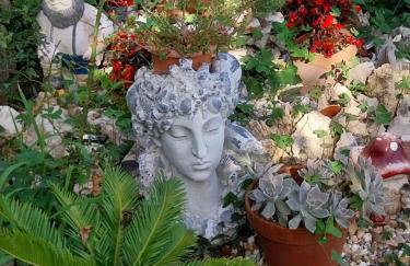 Apartment Milica - Foto 5