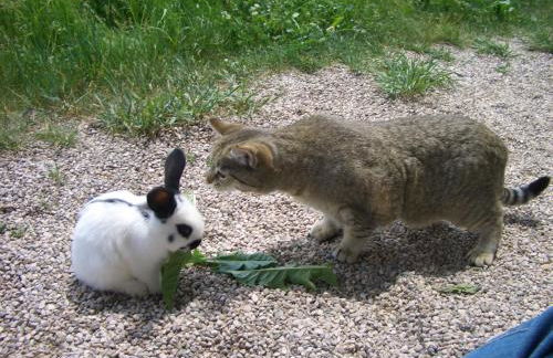 Marenklhof - Photo 40