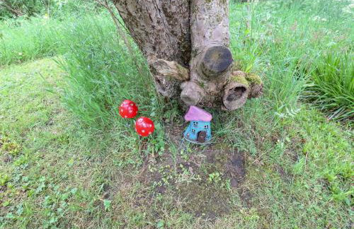 Bullace Barn - Foto 41