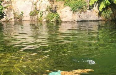 Casa dos Limões - Foto 26